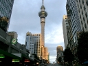 auckland (31)